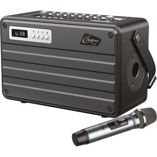 Combo Portable Autonome Micro UHF 100Watts